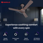 Havells 1200mm Enticer BLDC Prime Ceiling Fan| Compatible with Regulator & Remote| Upto 55% Energy Saving|