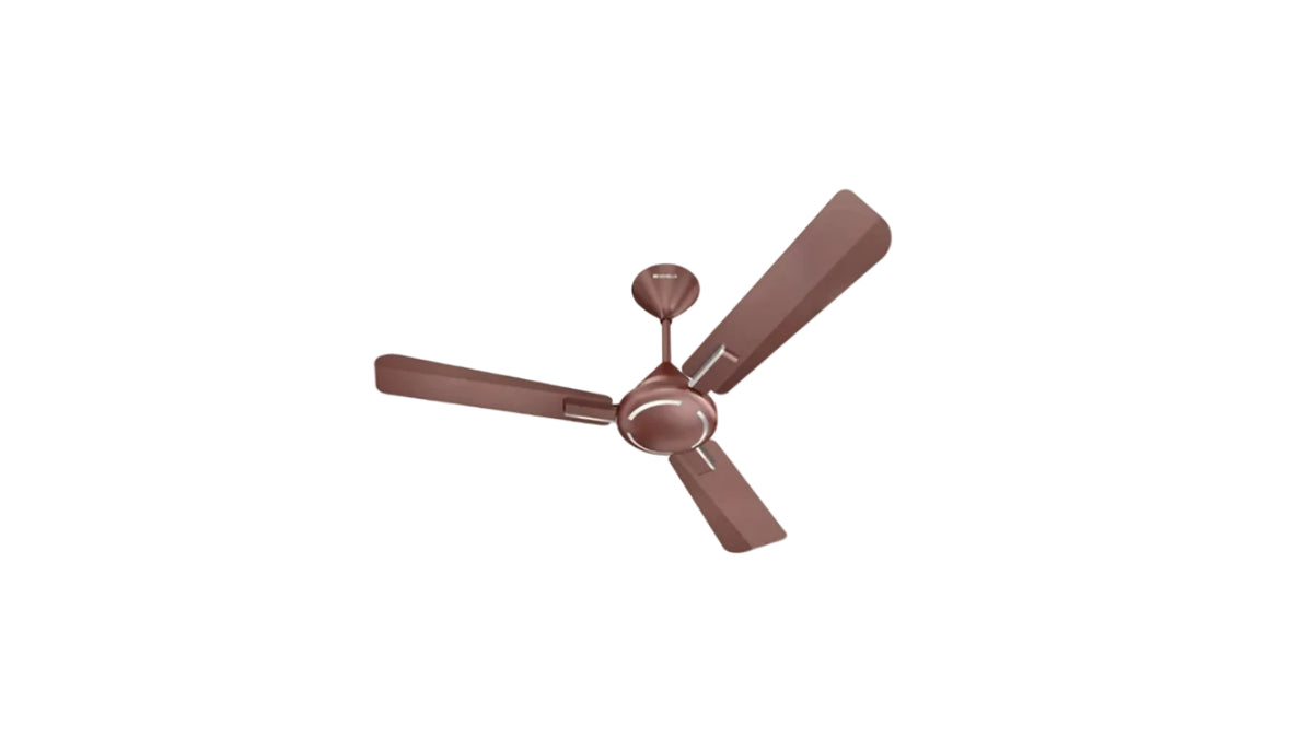 Havells 1200mm Ambrose Energy Saving High Speed Ceiling Fan|