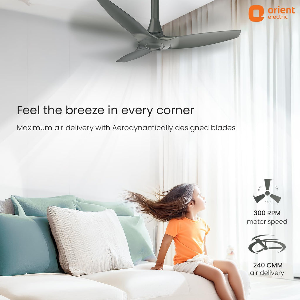 Orient Electric Newly Launched Aeroquiet Neu 1230mm Ceiling Fan for Home | BEE 2 Star Rated Energy Efficient Fan | Rust-proof ABS blade |2 Years Warranty by...