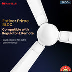 Havells 1200mm Enticer BLDC Prime Ceiling Fan| Compatible with Regulator & Remote /Pearl White Chrome| 100% Copper Motor|