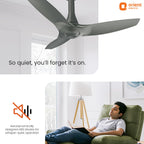 Orient Electric Newly Launched Aeroquiet Neu 1230mm Ceiling Fan for Home | BEE 2 Star Rated Energy Efficient Fan | Rust-proof ABS blade |2 Years Warranty by...