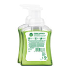 Dettol Foaming Handwash Pump - Aloe Coconut (Pack of 2-250ml each)