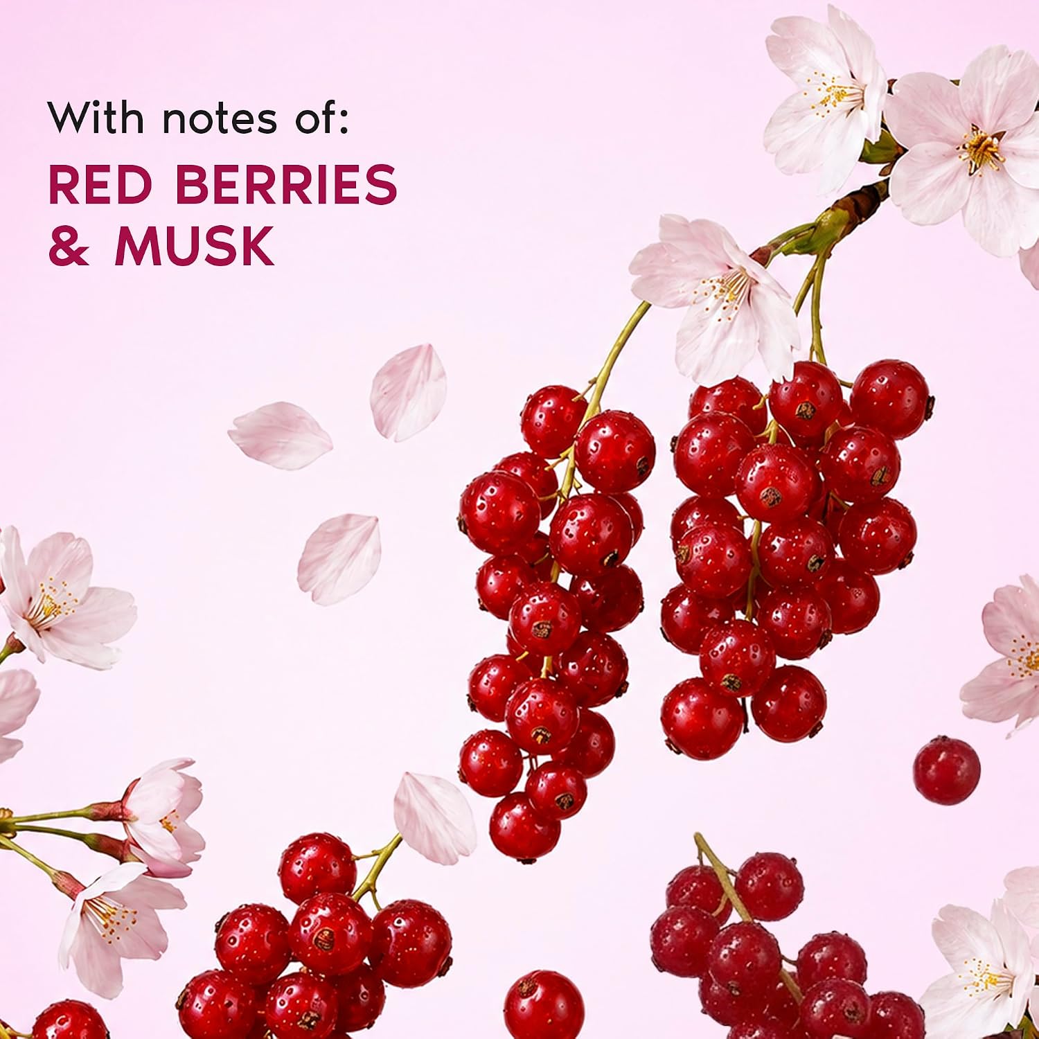 Nykaa Wanderlust Japanese Cherry Blossom Fragrance Mist-200ml