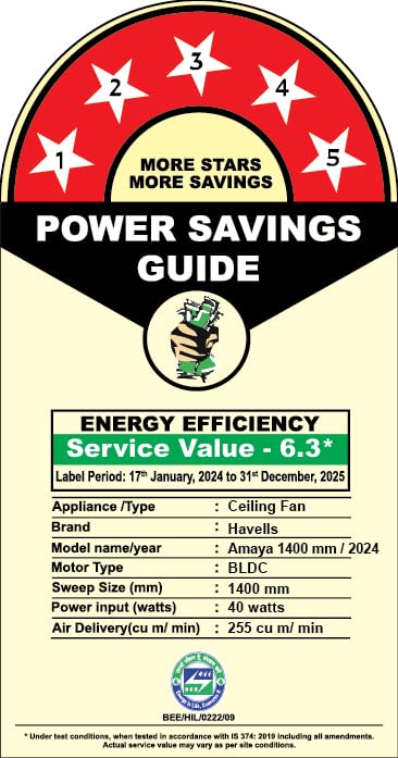 Havells Amaya 1400Mm Energy Saving With Remote Control 5 Stars Decorative Bldc Ceiling Fan (Silver Ash)