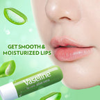 Vaseline Lip Care | Aloe Vera Lip Balm Stick | Up to 48Hr moisturization | with aloe extract & petroleum jelly | made in South Korea | 4.8g
