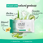 Lacto Calamine Daily Cleansing Face Wipes 25N Each - Pack of 2 | Makeup Remover Wipes | Wet Tissue for Face with Aloe Vera, Cucumber & Vitamin E | Wet..