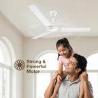 Havells REO Vaayu 1200mm ES Ceiling Fan | High Speed, High Air Delivery | Strong & Powerful, Air Delivery: 220CMM| RPM: 370| 2 Year Warranty |