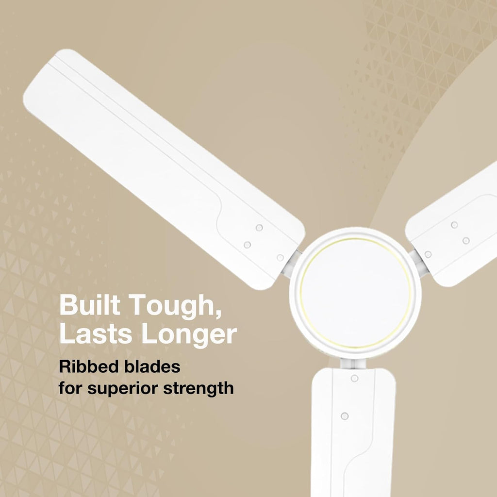 Havells REO Vaayu 1200mm ES Ceiling Fan | High Speed, High Air Delivery | Strong & Powerful, Air Delivery: 220CMM| RPM: 370| 2 Year Warranty |