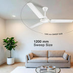 Havells REO Vaayu 1200mm ES Ceiling Fan | High Speed, High Air Delivery | Strong & Powerful, Air Delivery: 220CMM| RPM: 370| 2 Year Warranty |