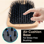 Vega Premium Collection Paddle Hair Brush (India's No.1* Hair Brush Brand) for Men & Women|