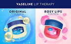 Vaseline Lip Therapy Rosy Lips | Tinted Balm for Soft Pink Finish | 72Hr Moisturization | Rosy Floral Fragrance | 7g (Pack of 2)
