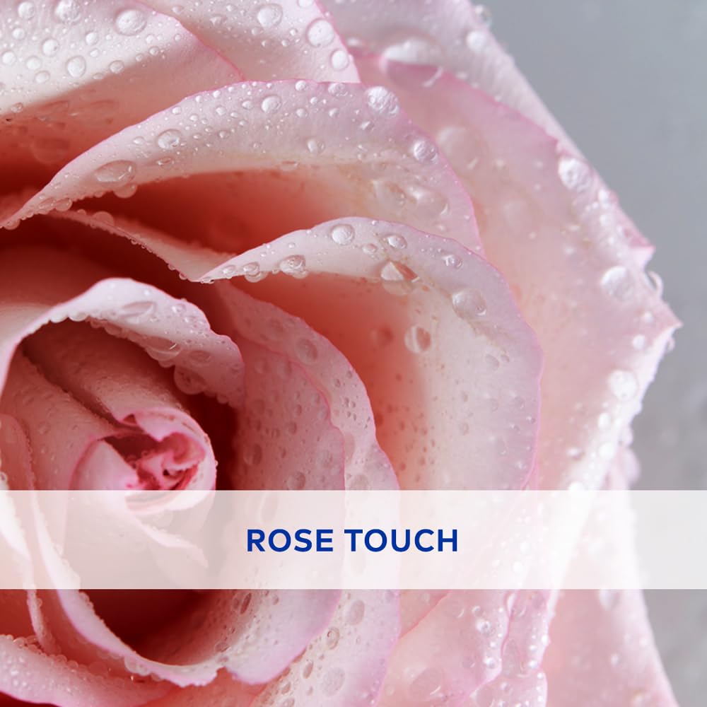 NIVEA Soft Rose Shine 4.8g Lip Balm|24 H Melt in Moisture Formula|Natural Oils|Glossy Finish,4.8 g (Pack of 1) NIVEA Soft Rose Shine 4.8g Lip Balm|24 H Melt in Moisture Formula|Natural Oils|Glossy Finish,4.8 g (Pack of 1)