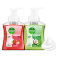 Dettol Foaming Handwash Pump Combo, Aloe Coconut & Strawberry (2 x 250ml)