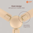 Orient Electric 1200mm Apex Cruise Ceiling Fan for Home | BEE 1 Star Rated Energy Efficient Fan|Outstanding Performance | 2 Years Warranty by Orient | Royal...