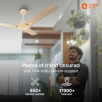 Orient Electric 1200mm Apex Cruise Ceiling Fan for Home | BEE 1 Star Rated Energy Efficient Fan|Outstanding Performance | 2 Years Warranty by Orient | Royal...