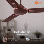 Orient Electric 1200mm Apex Cruise Ceiling Fan for Home | BEE 1 Star Rated Energy Efficient Fan|Outstanding Performance | 2 Years Warranty by Orient |...