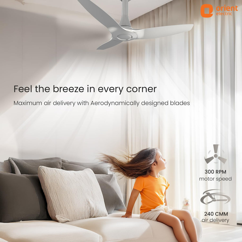 Orient Electric Newly Launched Aeroquiet Neu 1230mm Ceiling Fan for Home| BEE 2 Star Rated Energy Efficient Fan | Rust-proof ABS blade |2 Years Warranty by...