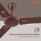 Orient Electric 1200mm Apex Cruise Ceiling Fan for Home | BEE 1 Star Rated Energy Efficient Fan|Outstanding Performance | 2 Years Warranty by Orient |...