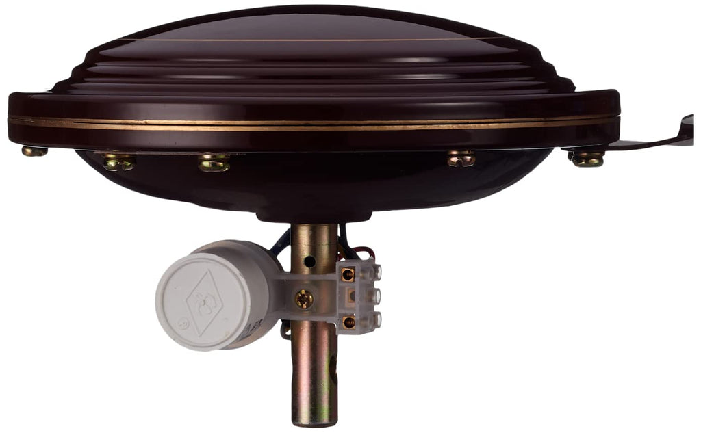Crompton Hill Briz 1200 mm (48 inch) High Speed Ceiling Fan (Brown)