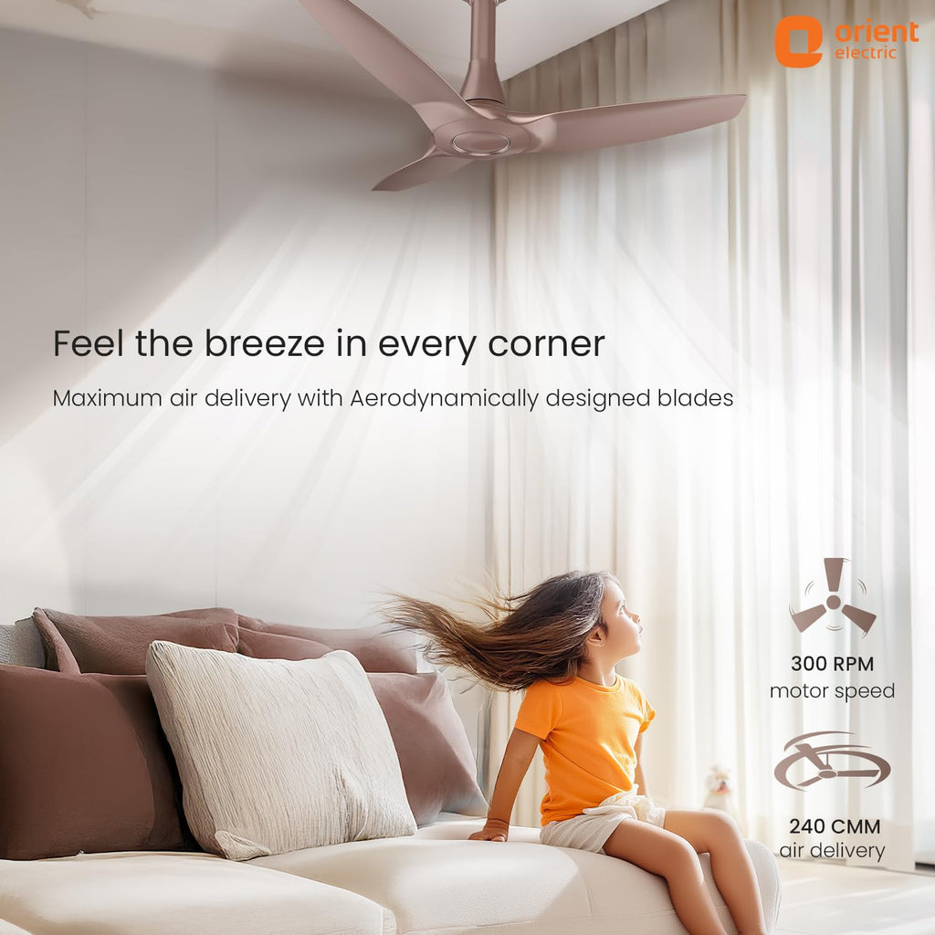 Orient Electric Newly Launched Aeroquiet Neu 1230mm Ceiling Fan for Home| BEE 2 Star Rated Energy Efficient Fan | Rust-proof ABS blade |2 Years Warranty by...