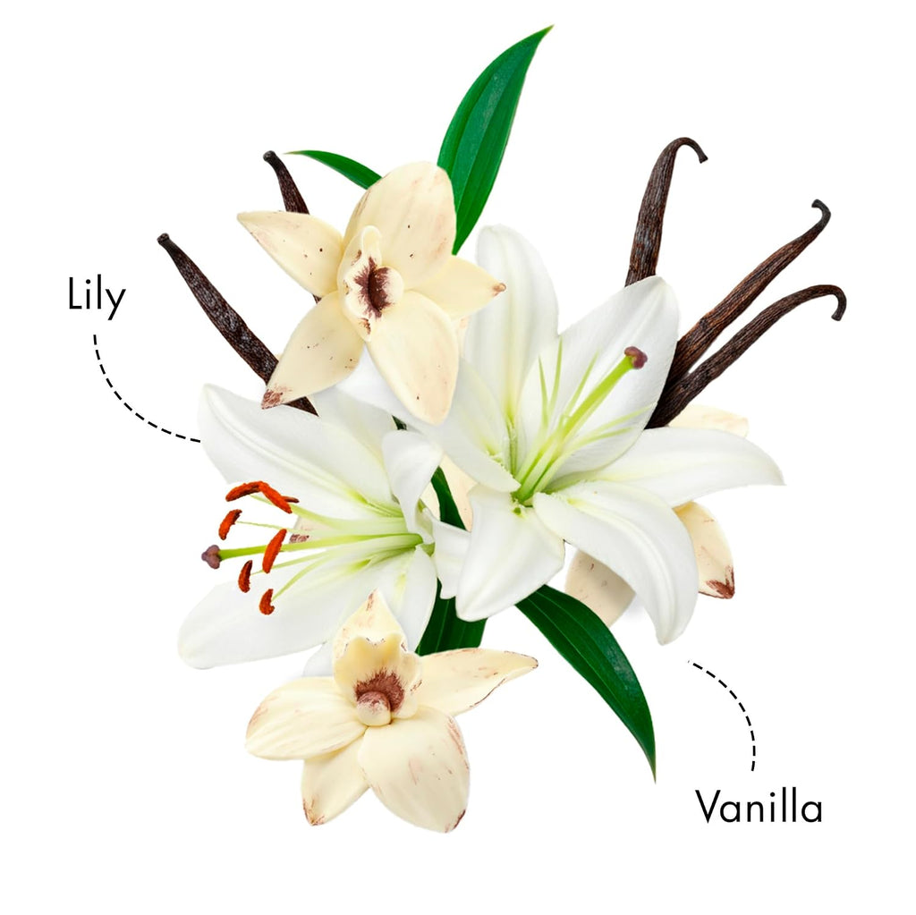 Nykaa Delicate Vanilla Long Lasting Floral EDP | Perfume for Women | Day to Night Fragrance |Lily & Vanilla| Everyday Perfume for Her | Travel Friendly Size