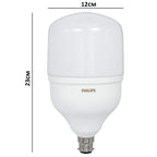 Philips 40W B22 LED Cool Day Light Light, Pack of 1