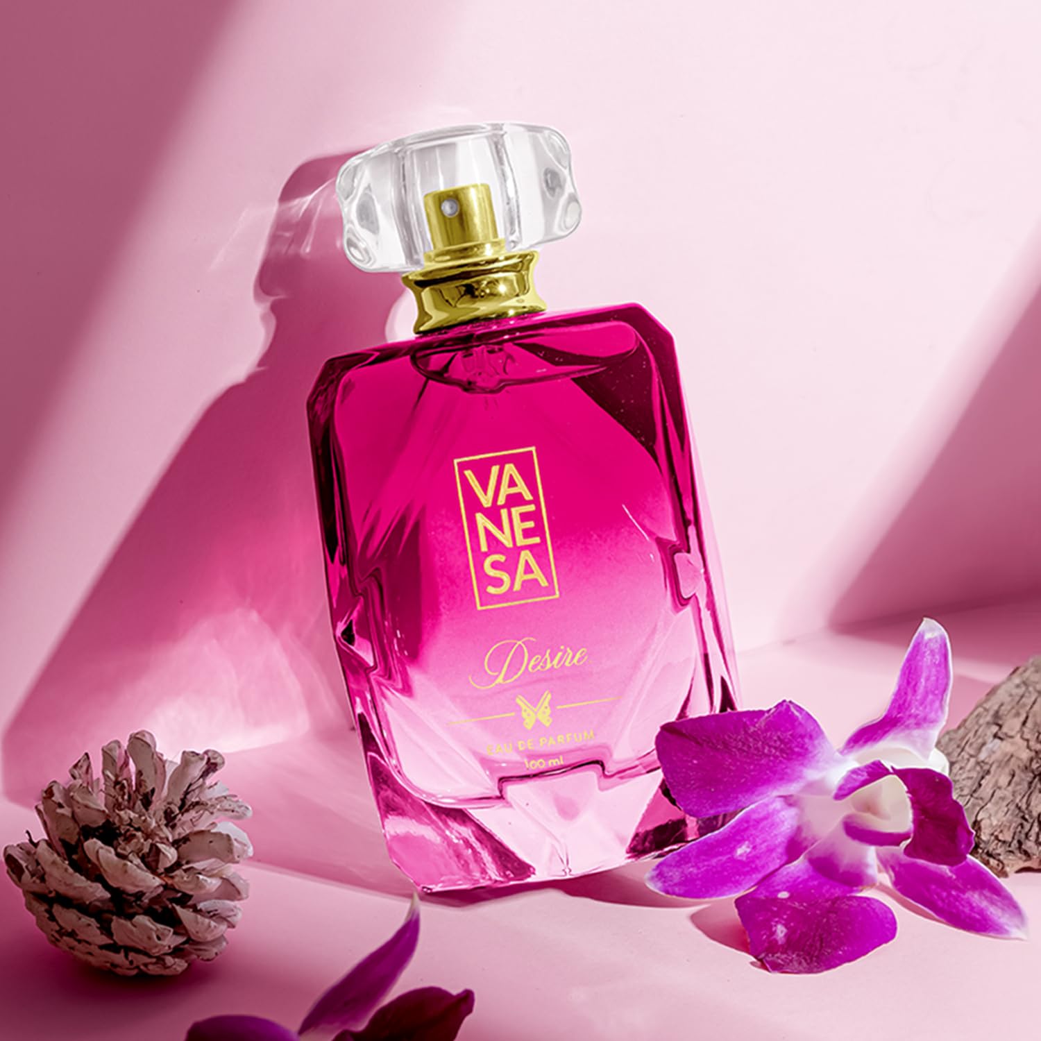 VANESA Dream & Desire Perfume For Women 100 ML Each, Pack of 2 | Long Lasting Eau Da Parfum