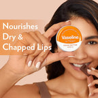 Vaseline Lip Tins Cocoa Butter, 17g | Infused with Cocoa Butter for Hydration & Glossy Shine Softline (Transparent)