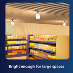 Philips 40 - watt LED Bulb | AceBright High Wattage LED Bulb | Bulb Base : B22, Light Bulb for Home | Colour : Cool Day Light, Pack of 4