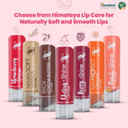 Himalaya Litchi Shine Lip Care, 4.5g (Pack of 2),White