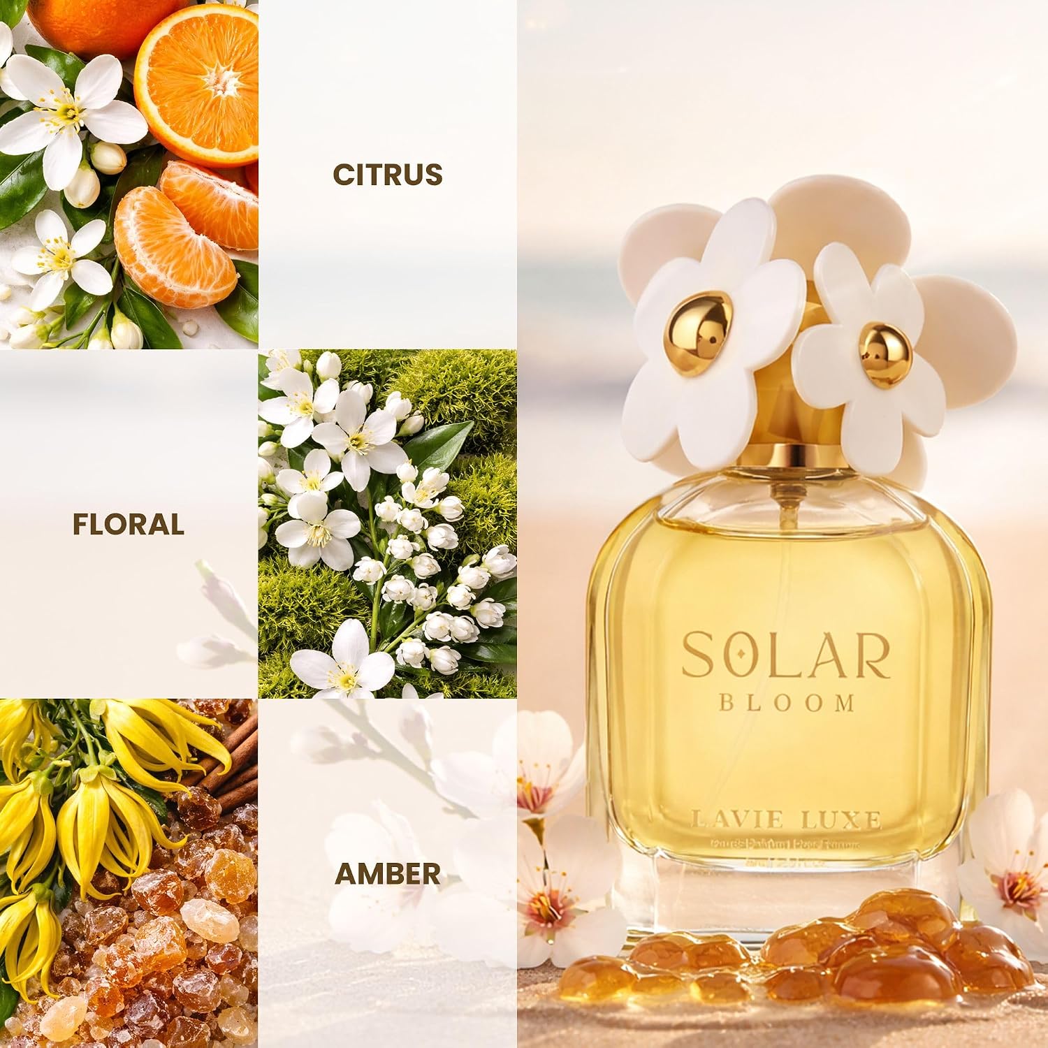Lavie Luxe Solar Bloom Eau De Parfum | Luxury Collection 75ml Perfume | Perfume for Women
