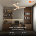 Orient Electric Newly Launched Aeroquiet Neu 1230mm Ceiling Fan for Home | BEE 2 Star Rated Energy Efficient Fan | Rust-proof ABS blade |2 Years Warranty by...
