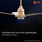 Orient Electric Newly Launched Aeroquiet Neu 1230mm Ceiling Fan for Home | BEE 2 Star Rated Energy Efficient Fan | Rust-proof ABS blade |2 Years Warranty by...