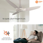 Orient Electric Newly Launched Aeroquiet Neu 1230mm Ceiling Fan for Home| BEE 2 Star Rated Energy Efficient Fan | Rust-proof ABS blade |2 Years Warranty by...