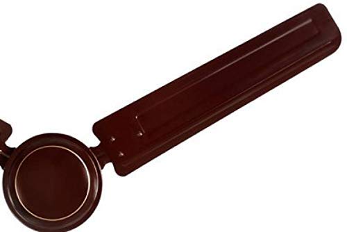 USHA Diplomat 1200mm 50 Watt|BEE 1 Star Rated | 2 Year Warranty | (Brown) Pack of 1|100% Copper Motor |