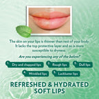 Vaseline Lip Therapy Mint Lip Balm Stick, 0.35 oz, 48HR Moisturizing Lip Care