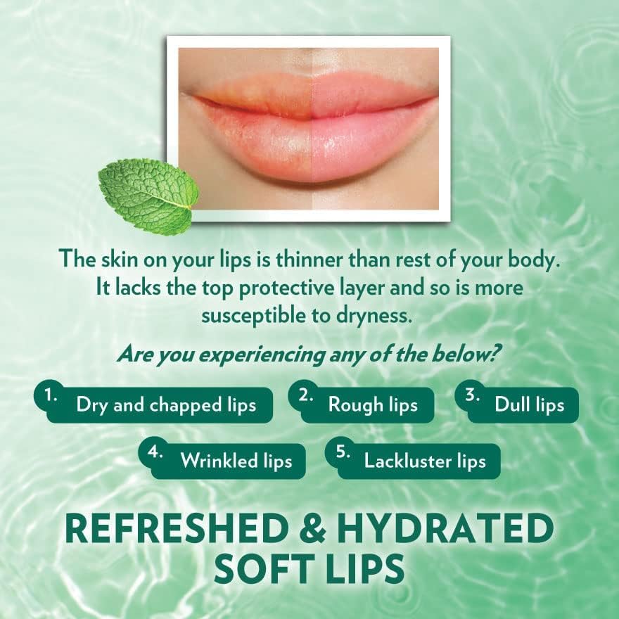 Vaseline Lip Therapy Mint Lip Balm Stick, 0.35 oz, 48HR Moisturizing Lip Care