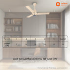 Orient Electric Newly Launched Aeroquiet Neu 1230mm Ceiling Fan for Home | BEE 2 Star Rated Energy Efficient Fan | Rust-proof ABS blade |2 Years Warranty by...