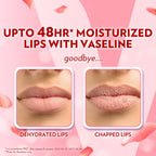 Vaseline Lip Care | Rosy Lips Tinted Lip Balm Stick | up to 48Hr moisturization | with almond oil & rose extract | made in South Korea | 4.8g