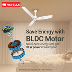 Havells Stealth Slim BLDC 1200 mm Ceiling Fan | Remote Controlled, High Air Delivery Fan | 5 Star Rated, Upto 50% Energy Saving, Reverse Rotation, 2 Year...