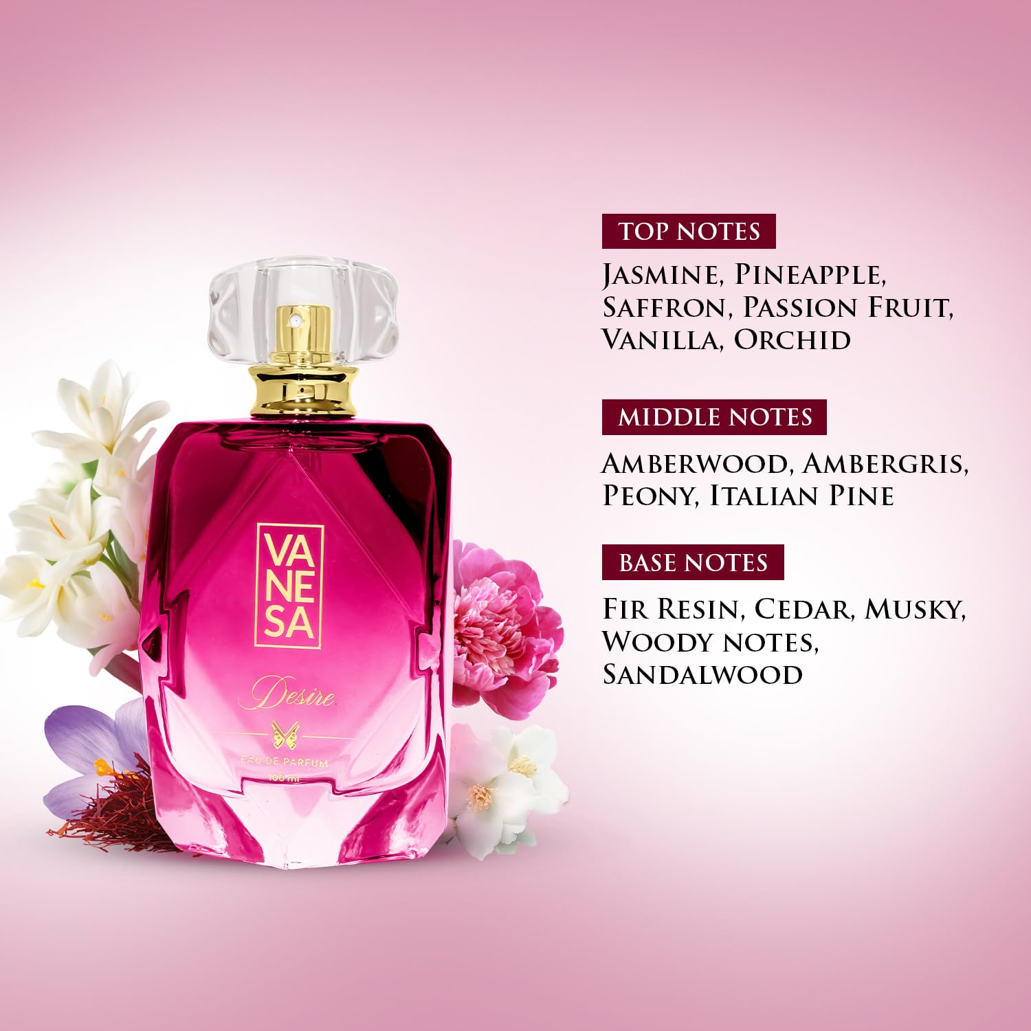 VANESA Dream & Desire Perfume For Women 100 ML Each, Pack of 2 | Long Lasting Eau Da Parfum