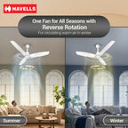 Havells Stealth Slim BLDC 1200 mm Ceiling Fan | Remote Controlled, High Air Delivery Fan | 5 Star Rated, Upto 50% Energy Saving, Reverse Rotation, 2 Year...