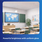 PHILIPS 30 - watt LED Bulb | AceBright High Wattage LED Bulb | Bulb Base : B22, Light Bulb for Home | Colour : Cool Day Light, Pack of 2