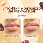 Vaseline Lip Care Cocoa Butter Lip Balm Stick 4.8g (Pack of 2)