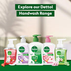 Dettol Liquid Handwash Dispenser Bottle Pump (210ml, Buy 1 Get 1 Free)- Original Hand Wash