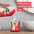 Dettol Foaming Handwash Pump Combo, Aloe Coconut & Strawberry (2 x 250ml)