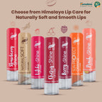 Himalaya Rich Cocoa Butter Lip Balm | 4.5gm | Repairs Chapped Lips | Intensely Moisturizes Dry Lips | Natural Vitamin E | No visible colour
