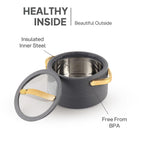 CELLO Velvetto Deluxe 2500 Insulated Casserole Hot Box for Kitchen 2500 ml, Grey |
