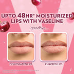 Vaseline Lip Care | Cherry Blush Tinted Lip Balm Stick | up to 48Hr moisturization | with petroleum jelly & Vitamin E | made in South Korea | 4.8g