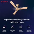 Havells 1200mm Enticer BLDC Prime Ceiling Fan| Compatible with Regulator & Remote| Upto 55% Energy Saving| 100% Copper Motor| 2...